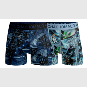 2-Pack Boxershorts -PREHISTORY