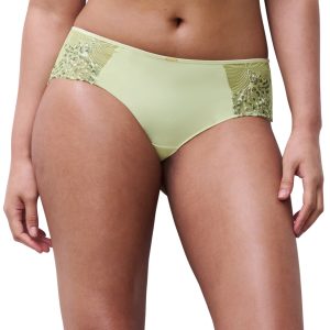 Legend - Shorty - Wild Pistacio